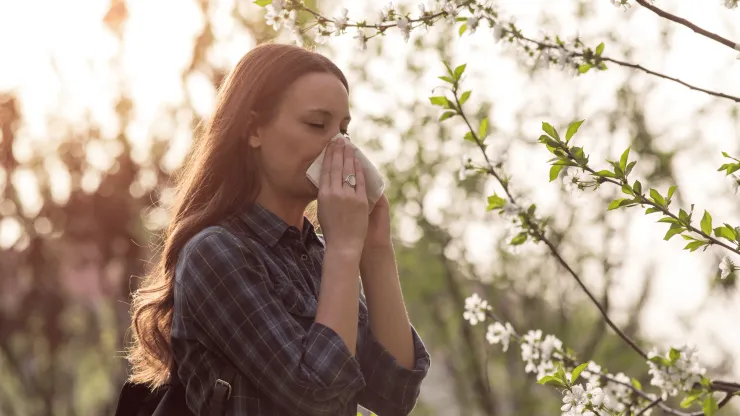 Illustration for Allergies: Understanding, Managing, and Seeking Relief
