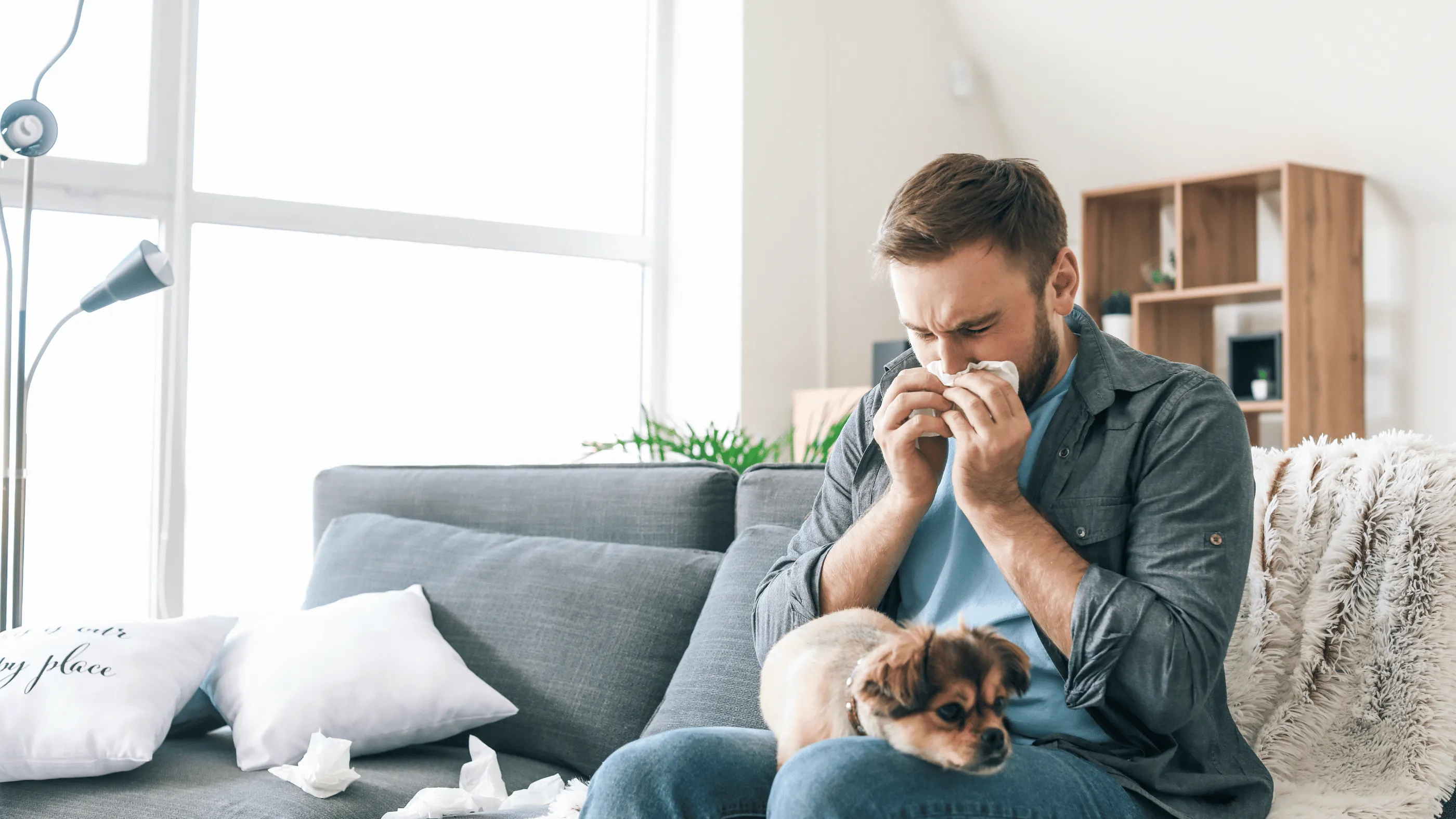 Illustration for Allergies: Understanding, Managing, and Seeking Relief