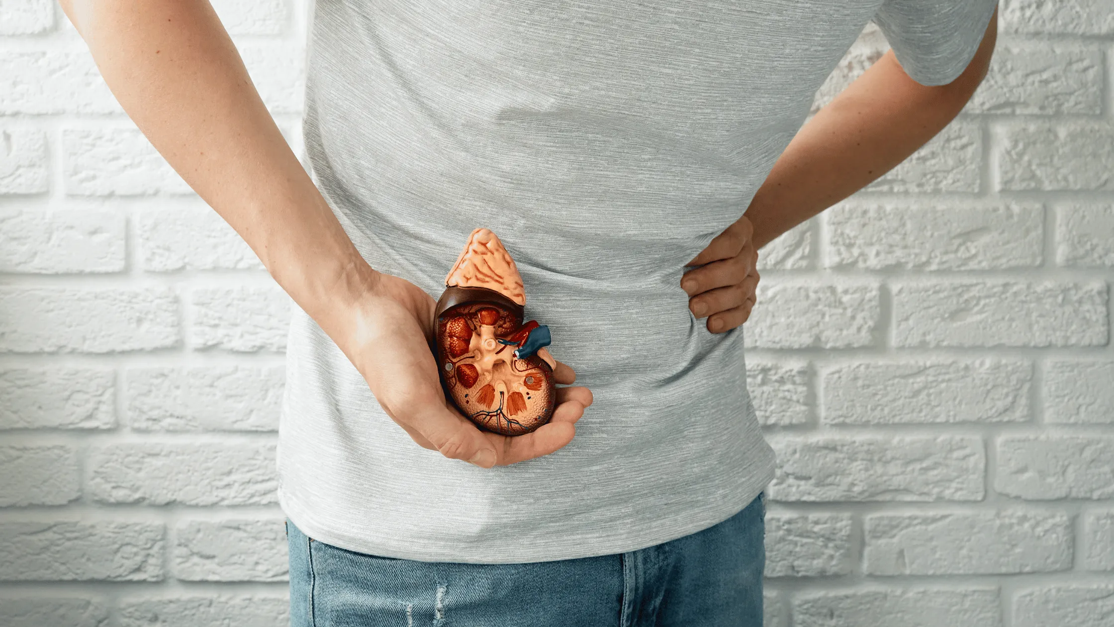 Illustration for Bellaire ER: Expert Kidney Stone Treatment | Urgent Care in Texas
