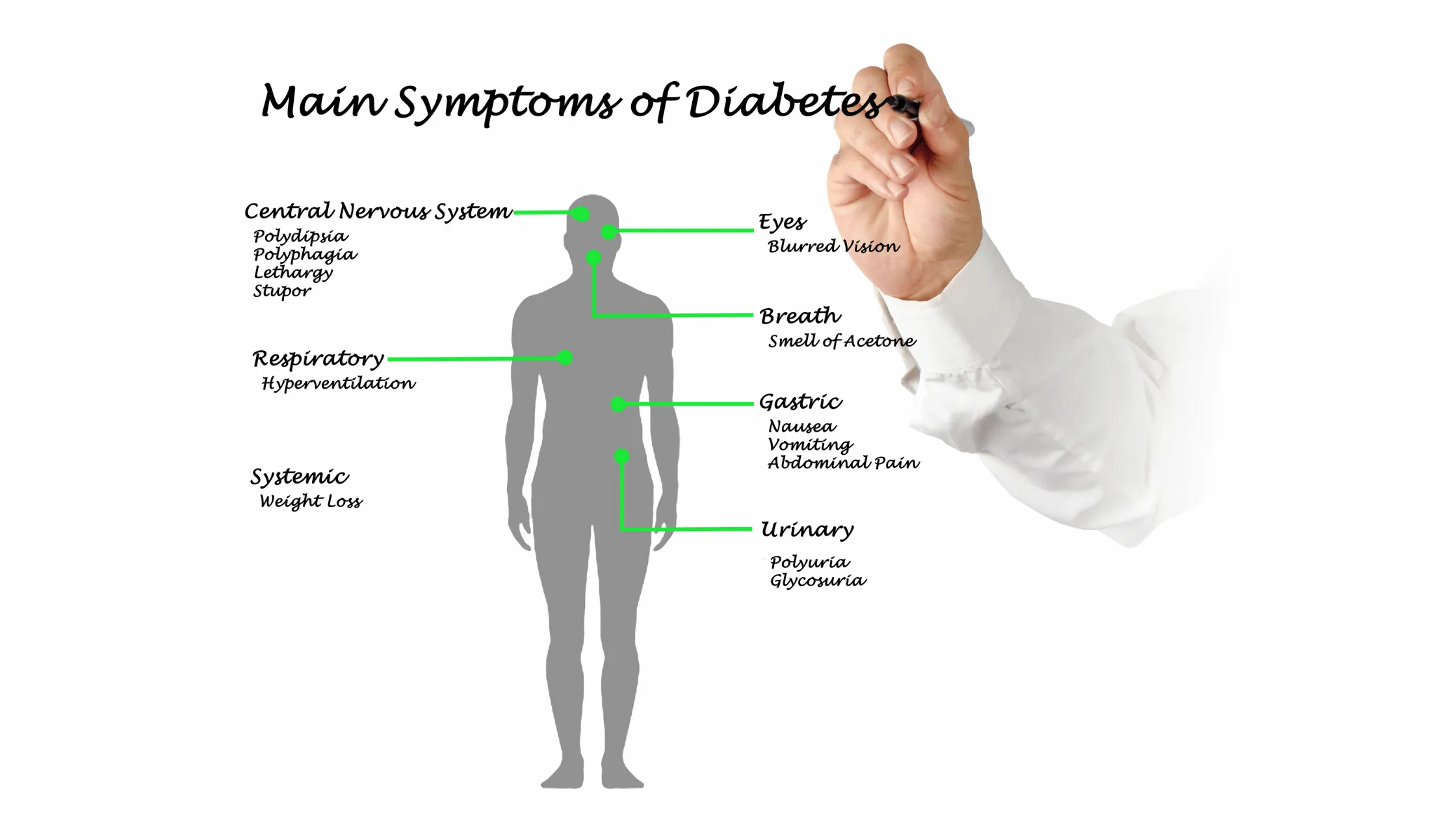 Medical illustration 5 - Understanding the Risk Factors and Symptoms of Diabetes