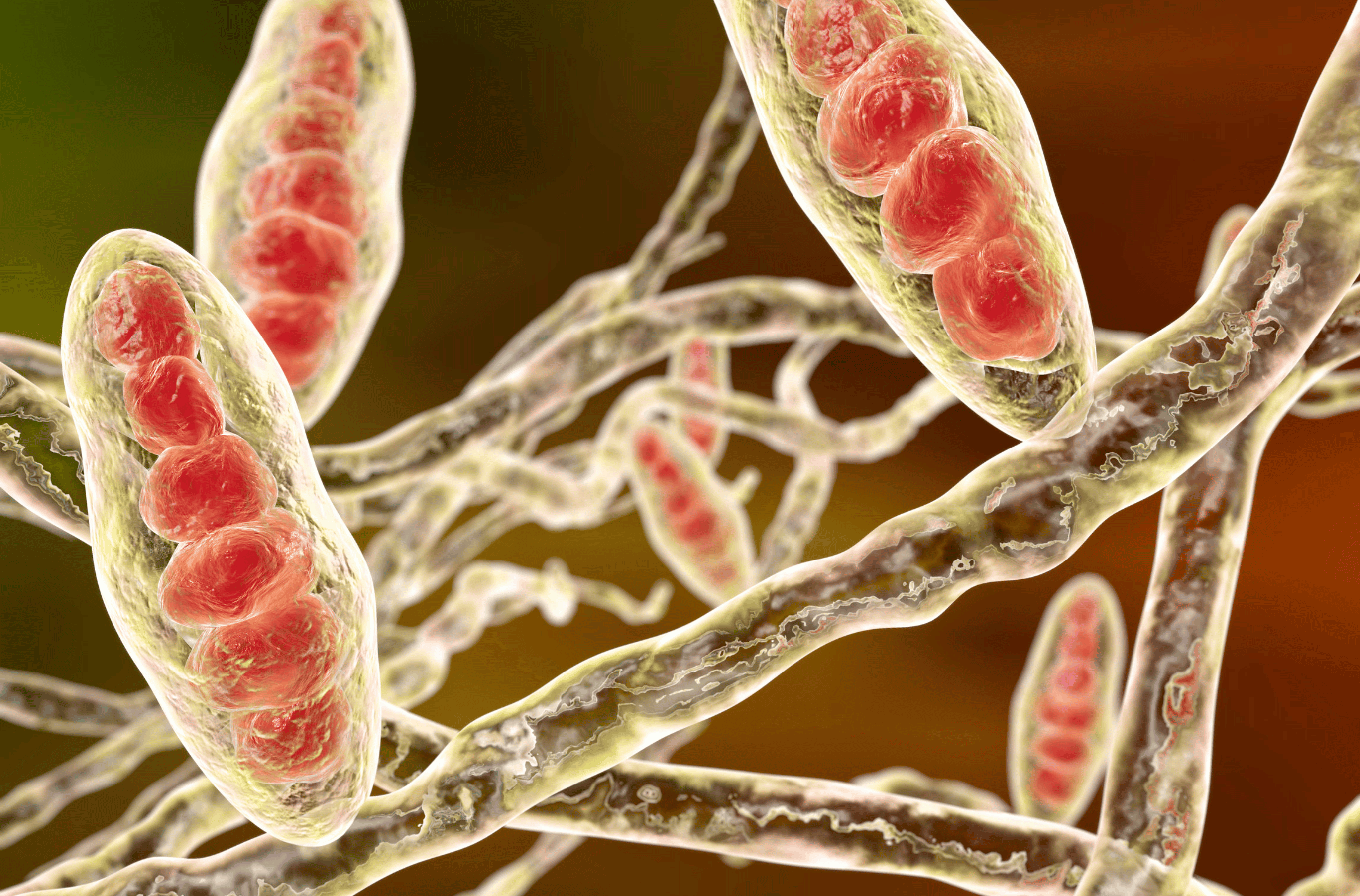 Illustration for Fungal Infections: Comprehensive Care at Bellaire ER