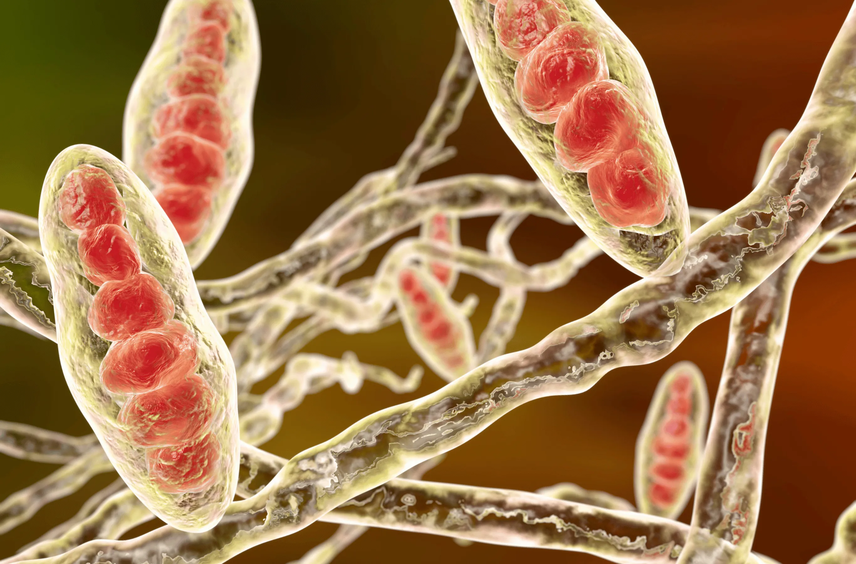 Illustration for Fungal Infections: Comprehensive Care at Bellaire ER