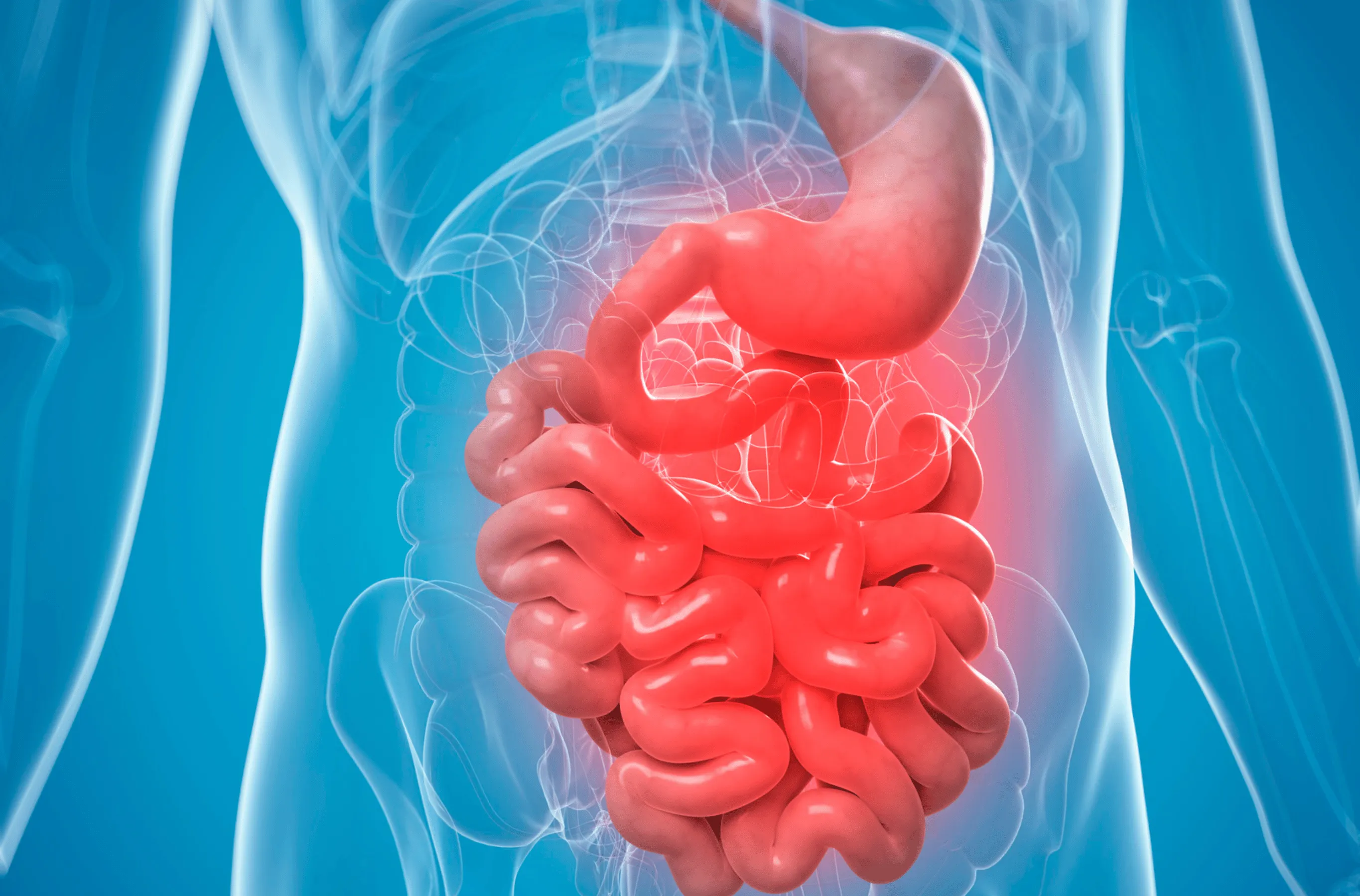 Medical illustration 2 - Understanding Abdominal Pain: Causes, Symptoms, and Relief in Houston